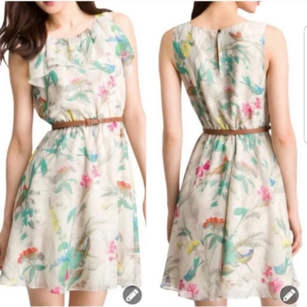 Ted Baker London timoxa floral chiffon dress 17962